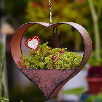 Metal Hanging Planters for Indoor & Outdoor Plants - Heart Shaped Planters for Wall or Window,Garden Patio or Indoor Decor for WomenCooper