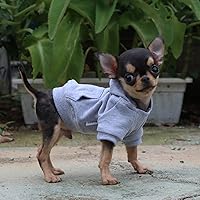 Vista 5 de LOPHIPETS Sudadera ligera de algodón para perros pequeños – Sudadera con capucha para chihuahuas, cachorros y razas juguetes - Gris/XS
