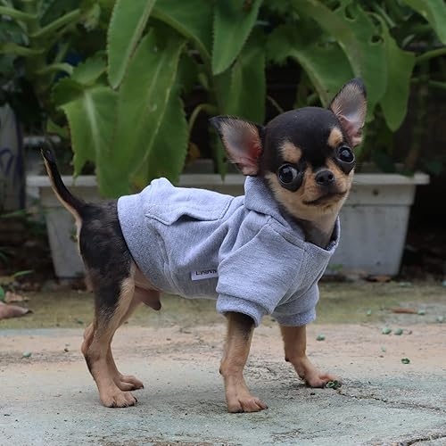 Miniatura 5 de LOPHIPETS Sudadera ligera de algodón con capucha para perros pequeños  Sudadera con capucha para chihuahuas cachorros y razas de juguetes-GrisXXS