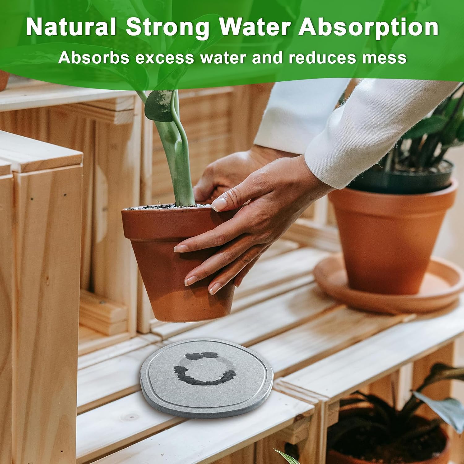 4 6 8 Inch 6 Pack Diatomaceous Earth Plant Pot Saucers Trays for Indoors No Holes, Diatomite Plant Drip Water Catcher Tray for Pots, Planter Drainage Saucers Plates to Catch Water, Light Grey