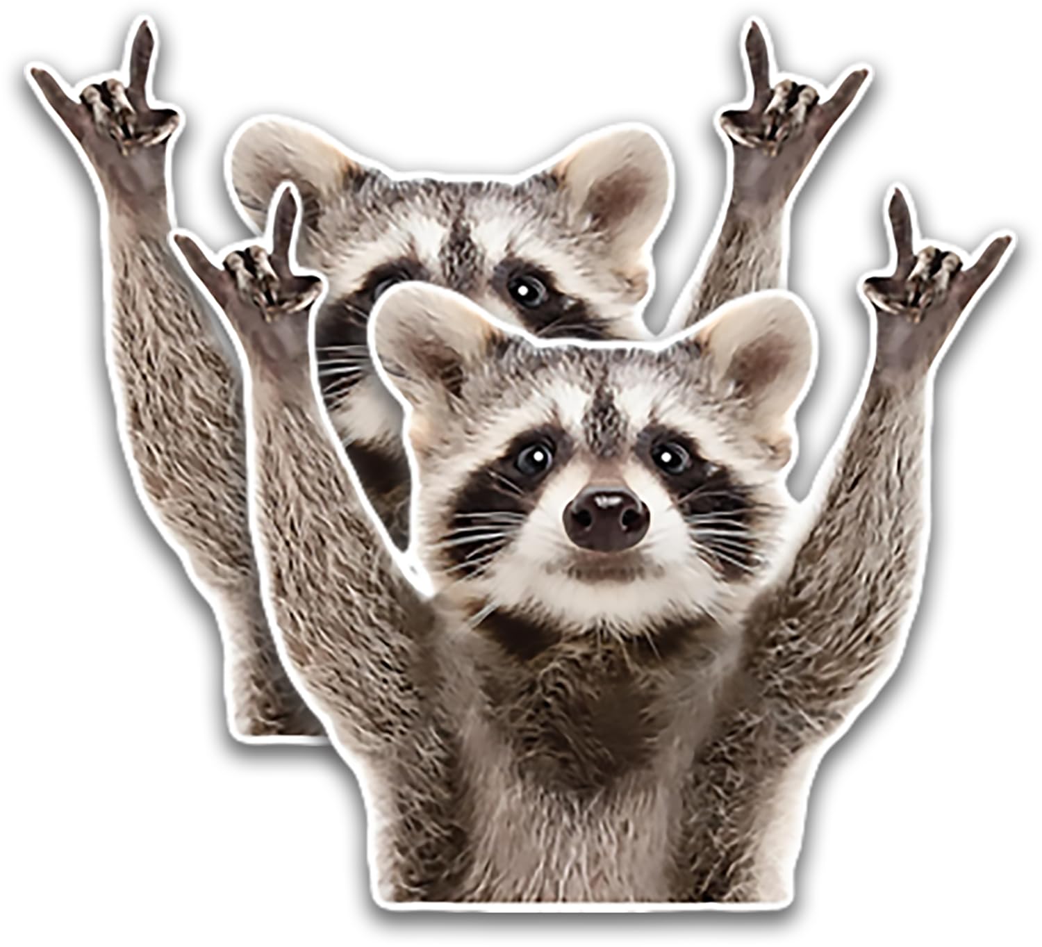 Amazon.com - Funky Fusions Rocking Raccoon Funny Car Decal Sticker for ...