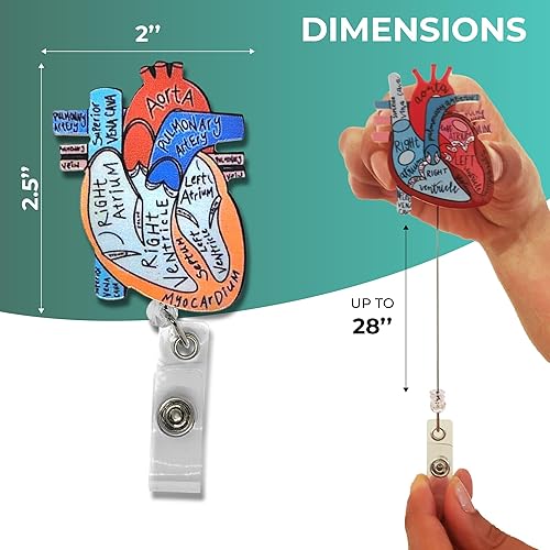 Miniatura 5 de Carrete de insignia de enfermera, soporte de carrete de insignia de corazón con 10 calcomanías de enfermería, carretes de insignia de enfermería,
