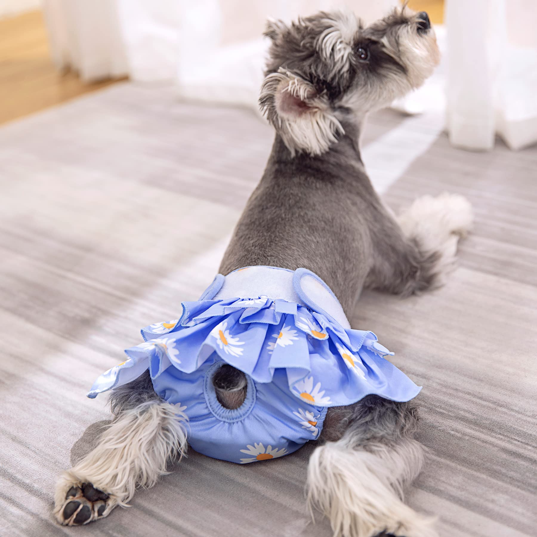 Amazon.co.jp: 犬おむつ 女の子、耐久性ペットスカート用犬のドレス