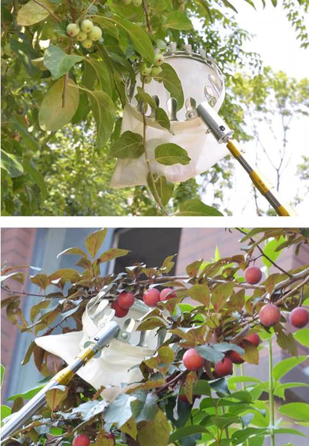 LekLai Raccoglitrice Di Frutta, Raccoglitore Di Frutta, Raccoglitore Di Frutta, Telescopico 2-10 M con Manico e Tasca/5M
