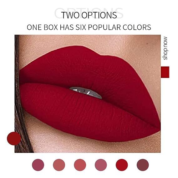 HANDAIYAN Matte Liquid Lipstick Makeup Set (A)