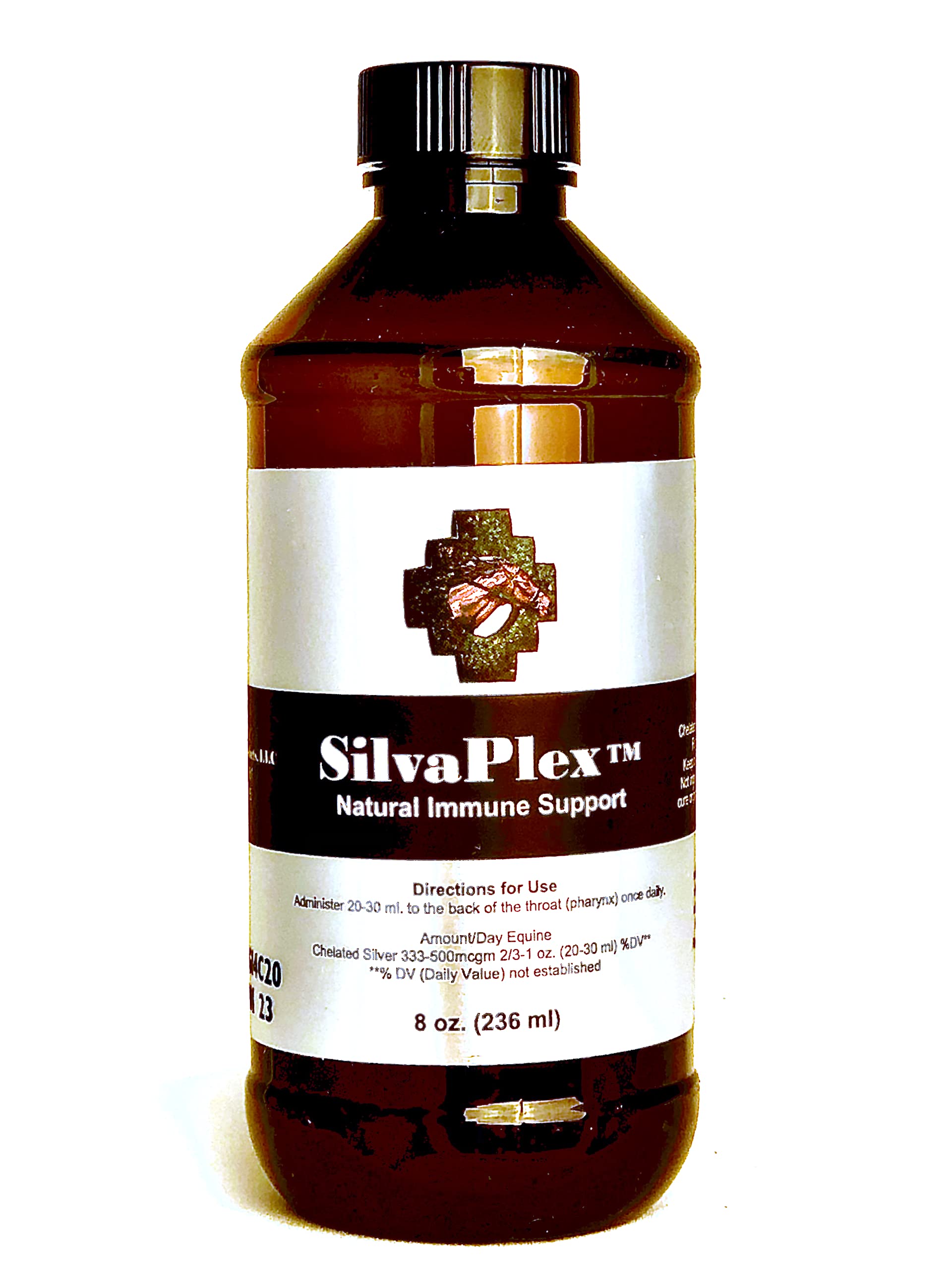 Can You Give Dogs Distilled Water