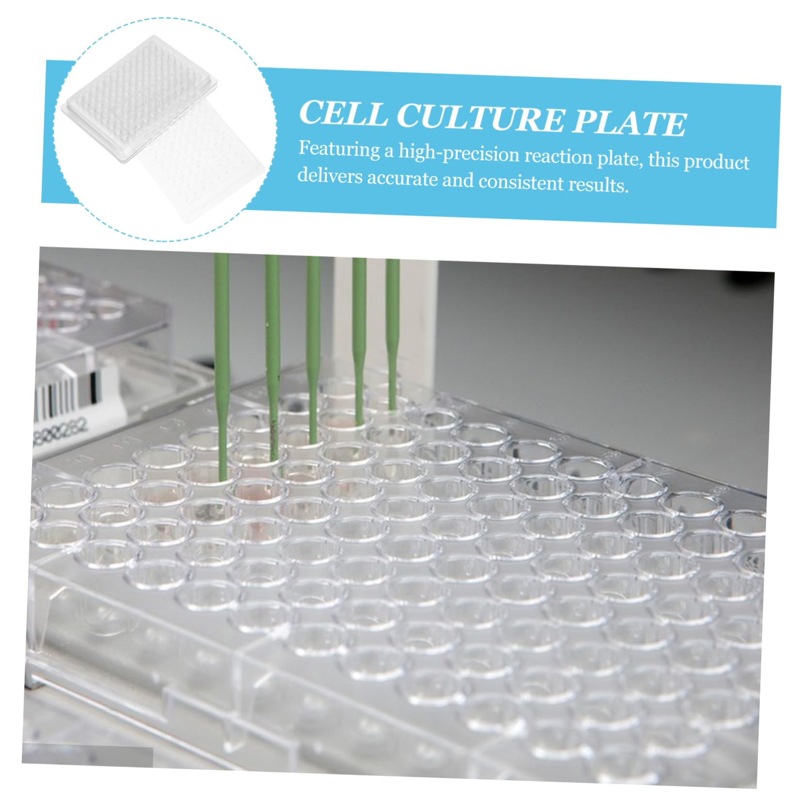 Cabilock 3 Set Strumento Per La Coltura Dei Tessuti Laboratorio Strumenti Per La Coltura Dei Tessuti Piastra Di Coltura Cellulare Pvc Transparent 100 Pezzi*3