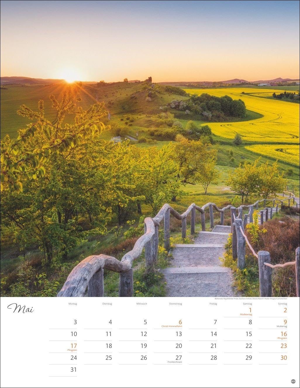Wege zum Träumen Posterkalender 2027: Die Schönheit unberührter Natur in einem großen Wandkalender. Foto-Kalender für Naturfreunde. Format 34 x 44 cm