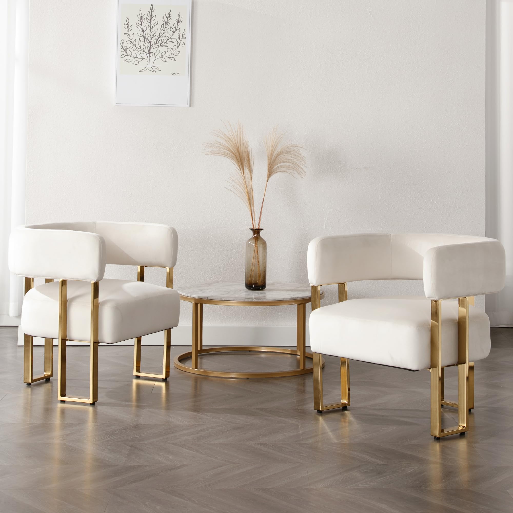 DM Furniture Modern Barrel Accent Chairs Set of 2 Living Room Side Chairs with Golden Metal Legs Soft Velvet Upholstered Reading Armchairs for Bedroom