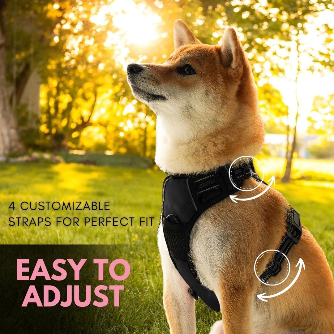 Ziggy Pet Dog Harness Adjustable Nylon Mesh Vest with Leash Clips (Black, Extra Large)