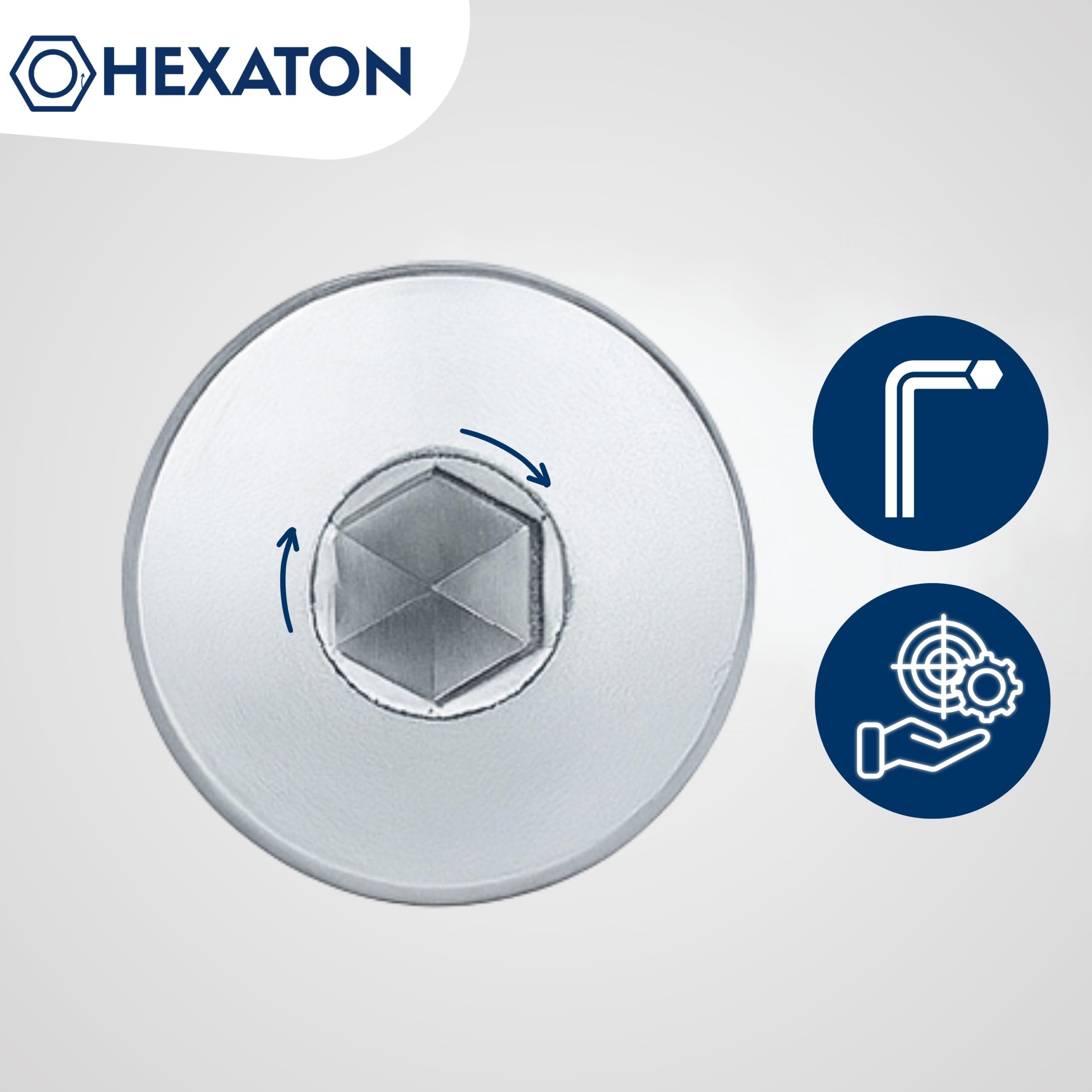 HEXATON Vis Mécaniques M6 x 55 mm – Lot de 50 – Tête Cylindrique à 6 Pans Creux – Acier Zingué Blanc – Filetage Métrique Partiel