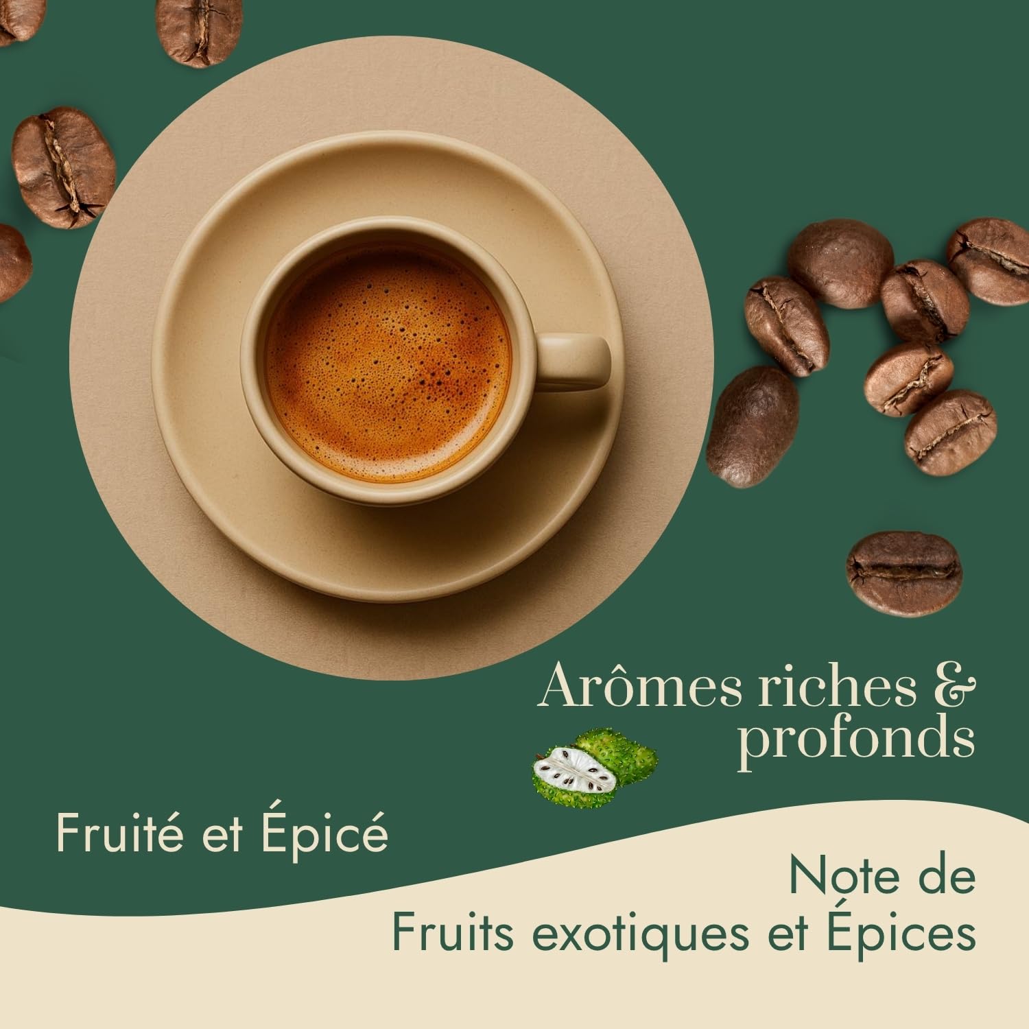Café Bonnac – Café En Grain Inde Malabar Moussonné 1kg | 100% Arabica Traditionnel | Notes De Céréales, Poivre Doux Et Bois Sec | Torréfaction Artisanale | Idéal Machine À Café Grain