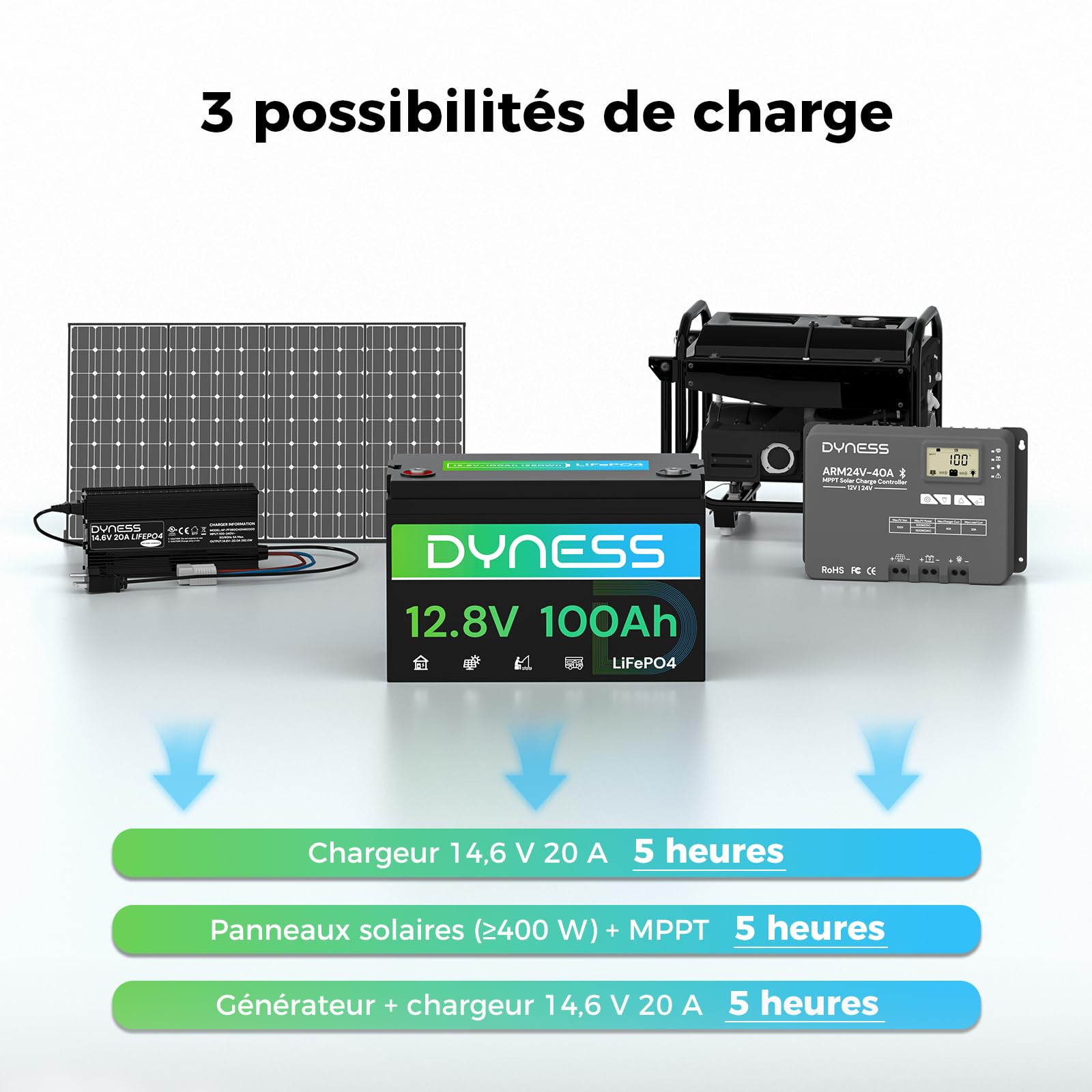 Dyness Batterie Lithium 12V 100 Ah LiFePO4 avec Protection 100A BMS, Batterie Lithium Camping-Car pour kit Panneau Solaire, Caravane, Alimentation de Secours