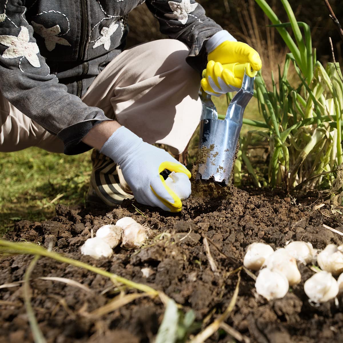 Jardineer Blumenzwiebelpflanzer 3er Set, mit einem kleinen Zwiebelpflanzer & Handtuch, mit langem Griff & gezacktem Boden, Blumenzwiebel Stecher zum Graben, Erdeproben & Umpflanzen