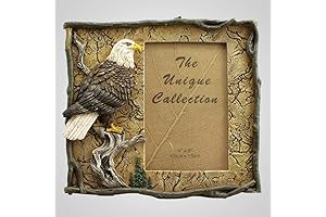 Eagle Scout Picture Frame: A Majestic Decor for Cherished Moments