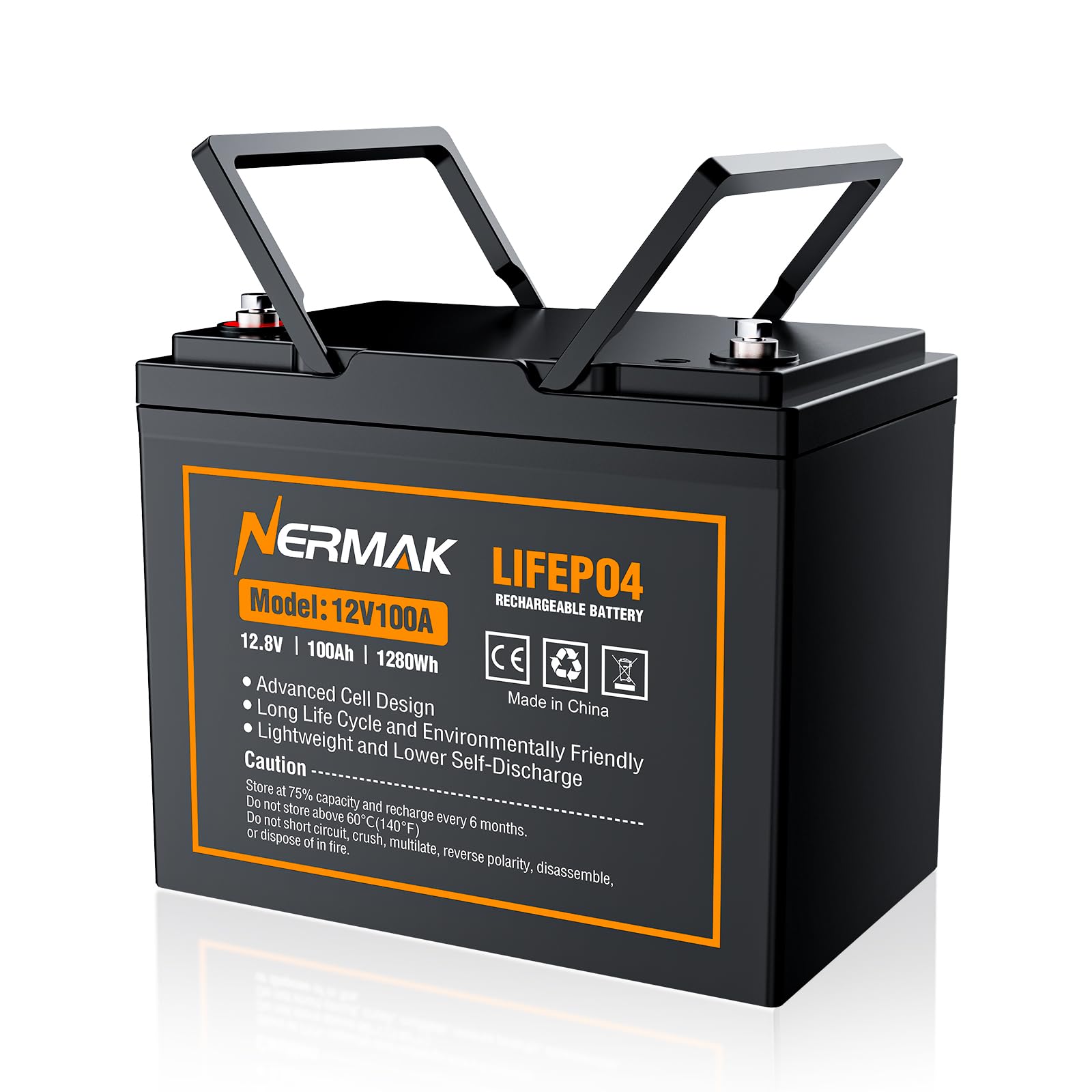 12V 100Ah Lithium LiFePO4 Deep Cycle Battery, 4000+ Cycles Lithium Iron Phosphate Rechargeable Battery for Solar, RV, Marine, Home Energy Storage, Off-Grid Applications Built-in 100A BMS