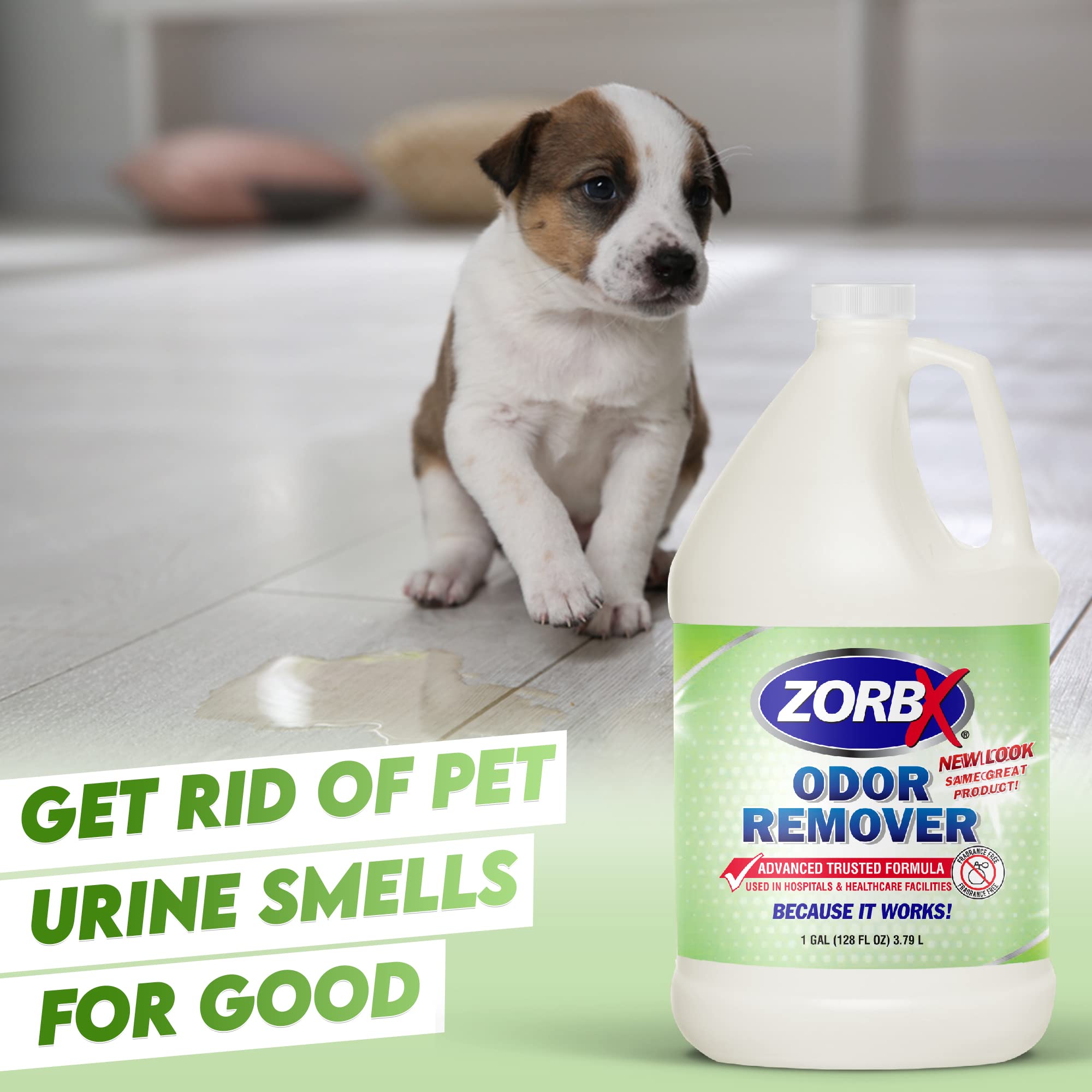 carpet odor eliminator diy