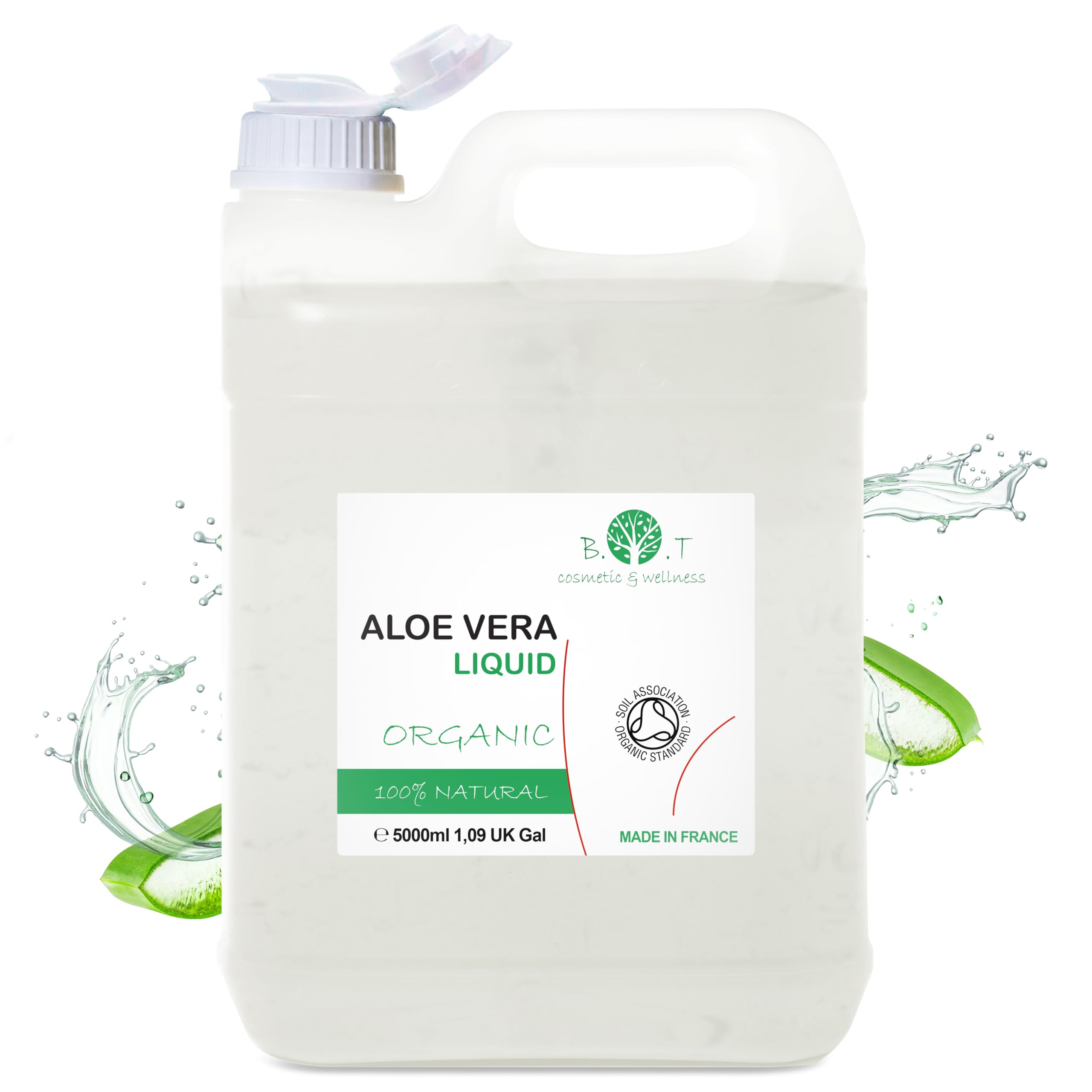 aloe vera pflanze online bestellen Aloe vera (Echte Aloe) kaufen main image 0