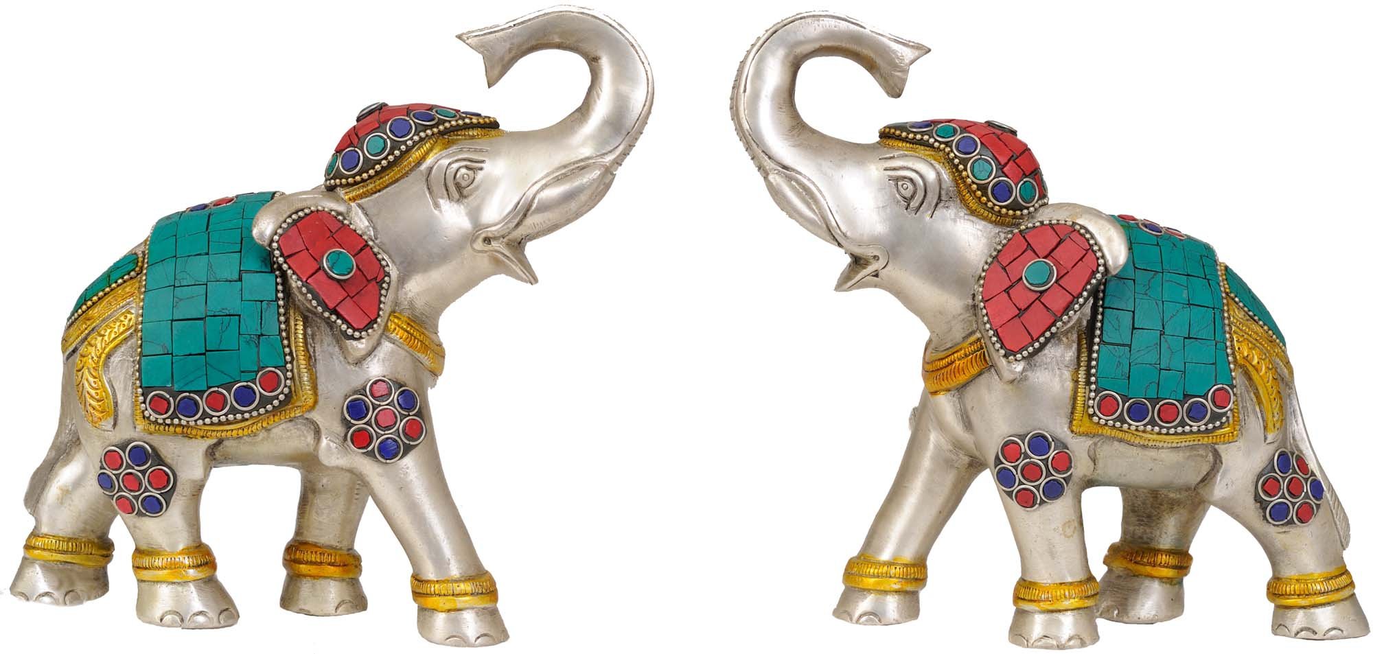 OEP トランスブースター Elephants found Flowers Elephants found Flowers (@AudioProd_Jay) / X