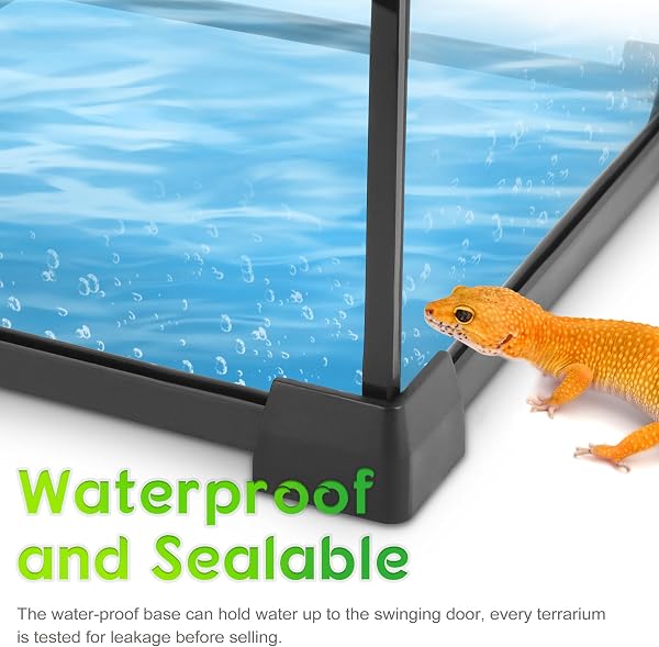 NEPTONION 10"x10"x14" Reptile Terrarium, Single-Door Glass Arboreal Vivarium for Small Arboreal Lizards Such as Juvenile Green Anoles, with Lock, Cable Port & Waterproof Deep Base Below Front Door - 3