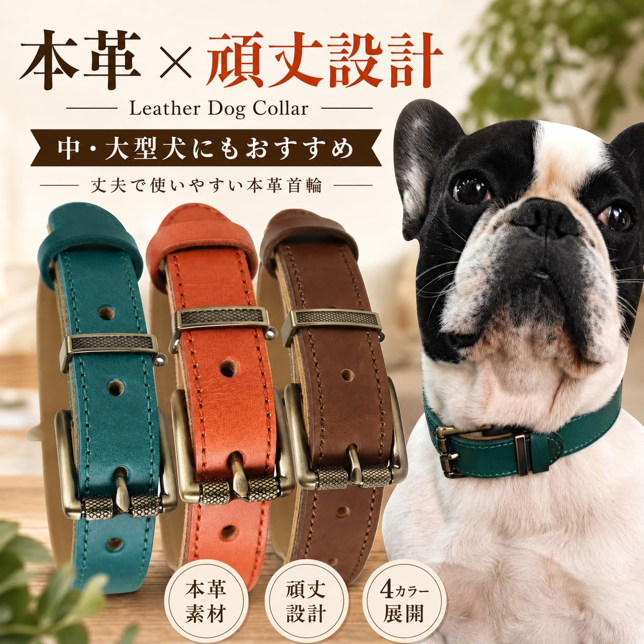 Amazon | Beanspet 犬首輪 ベーシック ベルトタイプ 厚め本革 犬 首輪