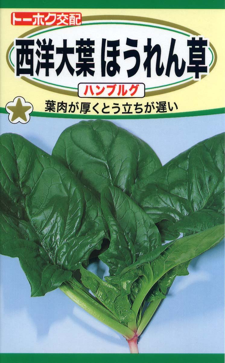 ほうれんそうページ ブレイズ（P20M203） | ホウレンソウ | 野菜 | 製品情報 | 住化
