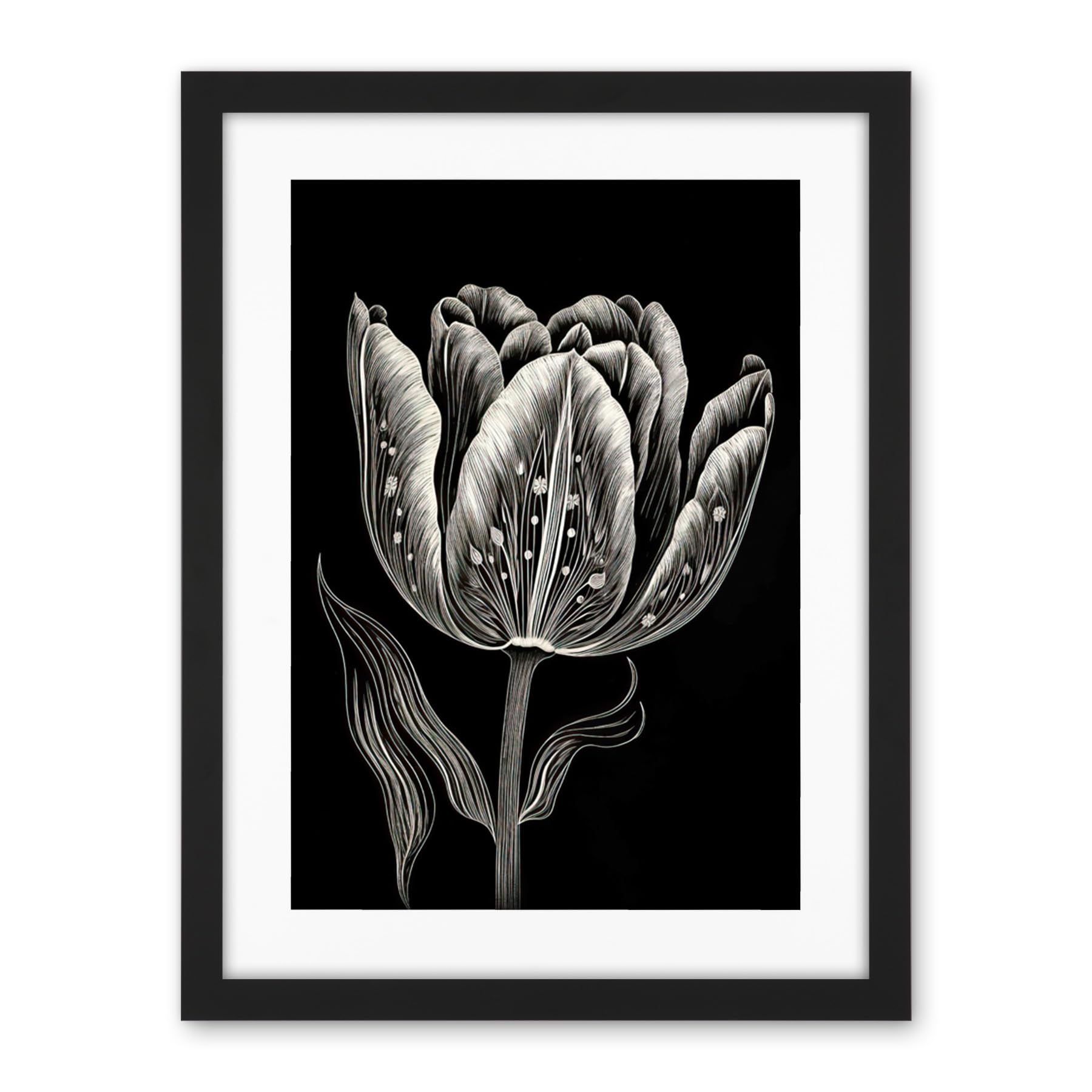 Artery8 Tulip Flower White on Black Blind Contour Folk Art Artwork Framed Wall Art Print 18X24 Inch