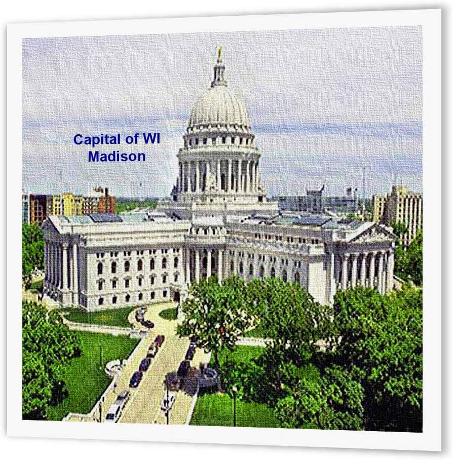 3dRoseCapital of Wisconsin, Madison, Iron On Heat Transfer, 20cm by 20cm , For White Material