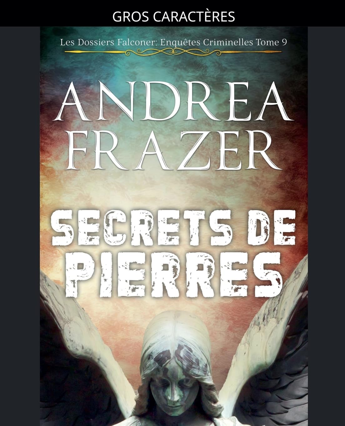 Secrets de Pierres: 9 (Les Dossiers Falconer: Enquêtes Criminelles)