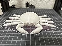 Review Image by Maddi Dameron Maddi Dameron