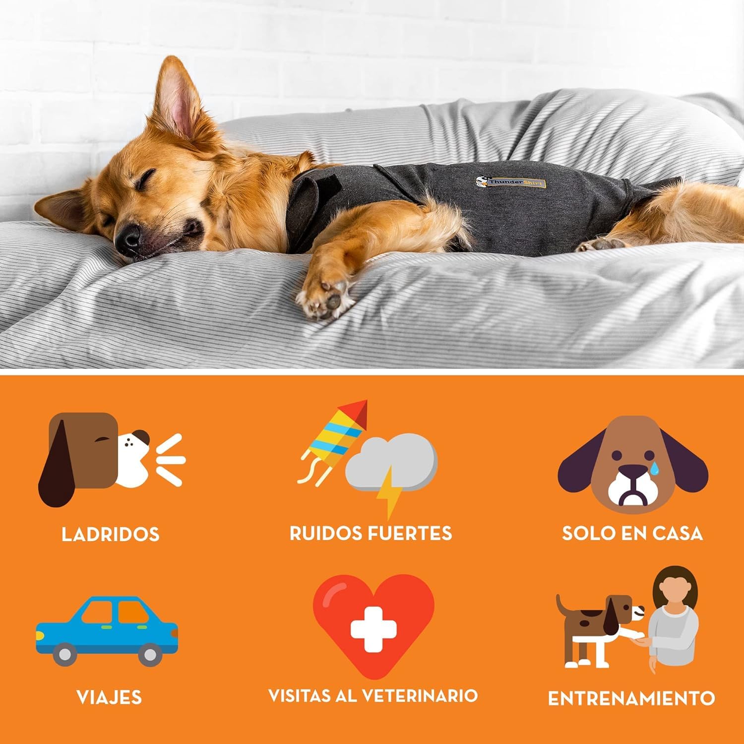 THUNDERSHIRT Pack Antiestrés para Perros S + ADAPTIL Transport Spray 60ml - Chaleco Relajante + Spray Antiestrés - Ideal para Ansiedad por Separación, Miedo a los Ruidos, Tormentas y Viajes