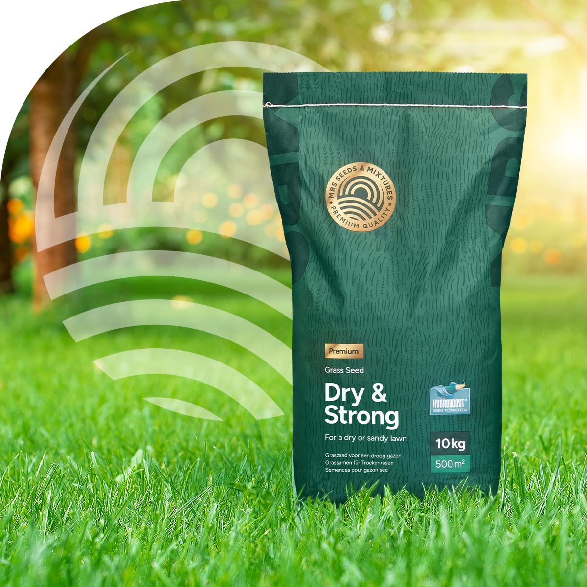 Dry & Strong: Trockenheitsresistenter Rasen – 10 Kilo für 500 m² – Hochwertiger Rasen für trockene Böden – Spart Wasser und Kosten – Mit Hydroboost™-Beschichtung