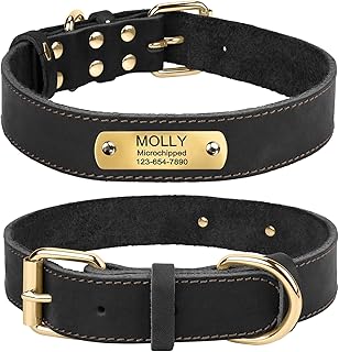 TagME Hundehalsband Personalisiert aus Leder mit Eingraviertem Hundename und Telefonnummer, Hundehalsband aus Echtem Leder für Mittlere Hunde product image