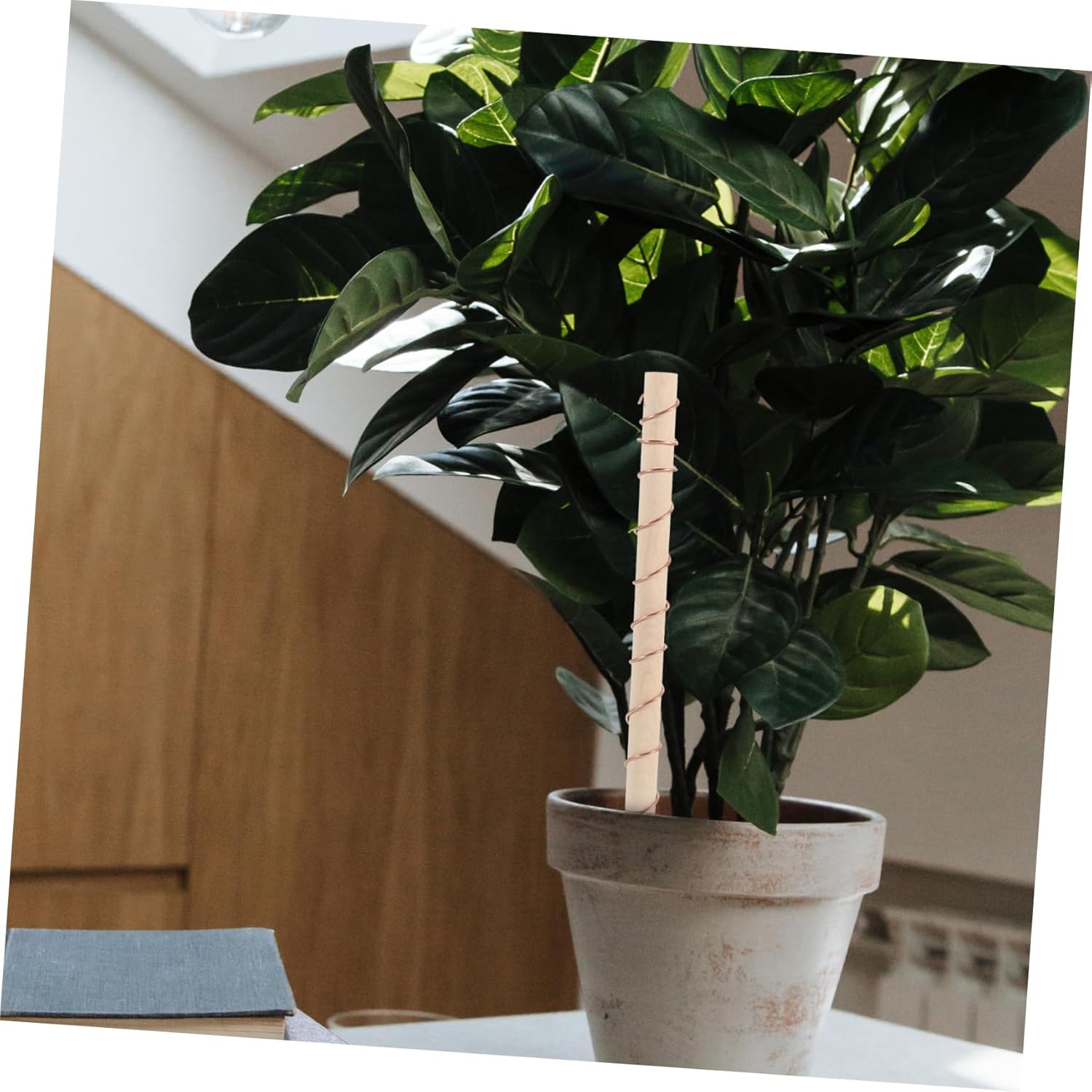 POPETPOP 10pcs Copper Wire Gardening Antenna Stakes Set Flexible Plant Support for Garden and Vegetable Growth Promotes Healthy Roots and Strong Stems