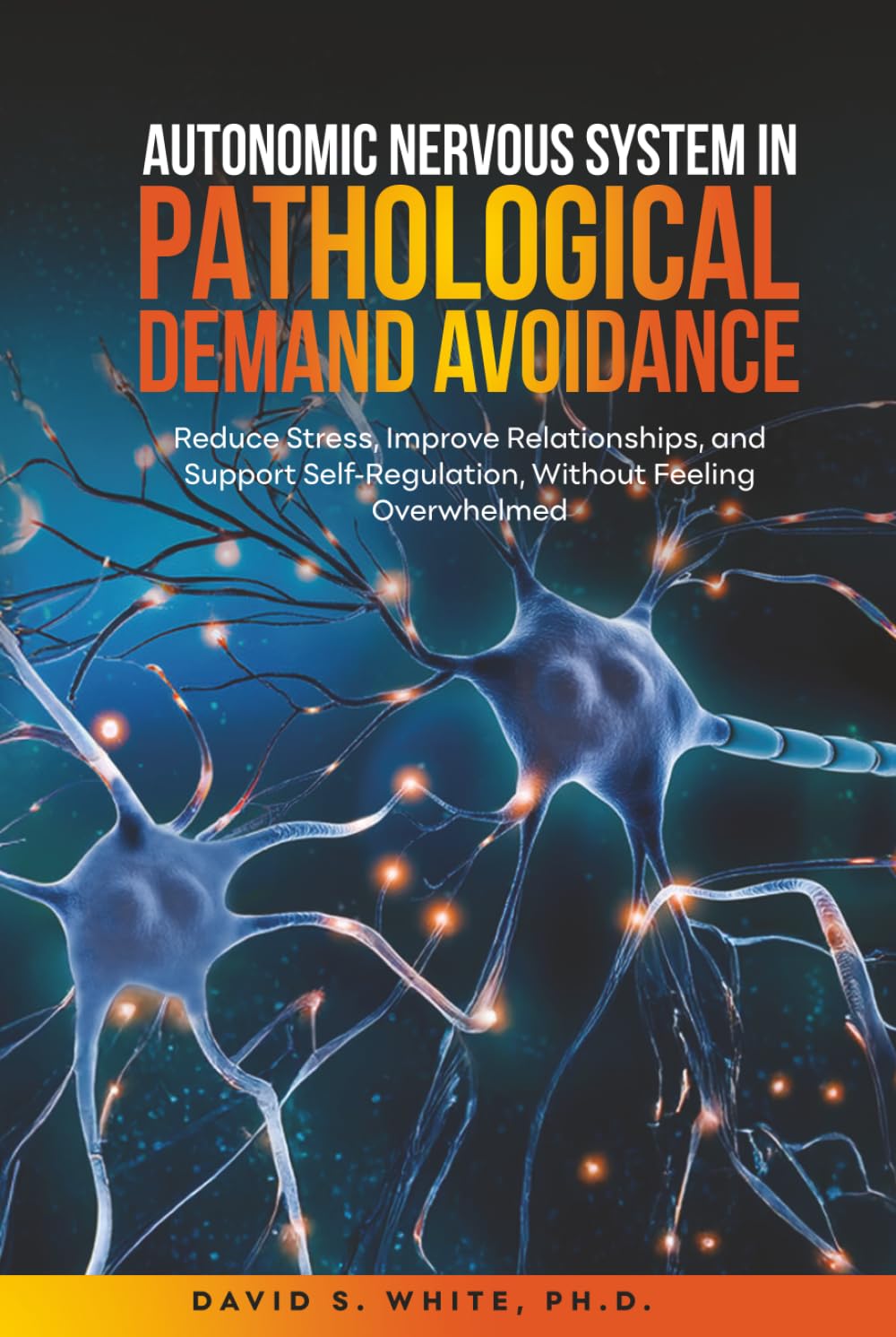 Autonomic Nervous System in Pathological Demand Avoidance: Reduce Stress, Improve Relationships, and Support Self-Regulation, Without Feeling Overwhelmed