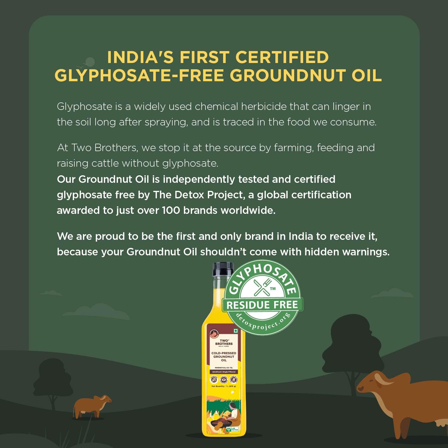 Two Brothers Organic Farms India's Only Certified Glyphosate Free Groundnut Oil 1L | Cold Pressed Kacchi Ghani | Unrefined, Single-Filtered | Natural Shengdana Oil for Cooking & Frying | Rich Nutty Aroma | Mungfali Tel.