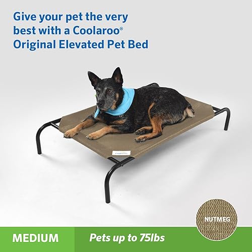 Miniatura 2 de Coolaroo Cama elevada y refrescante para perros, para interiores y exteriores, tamaño mediano, marrón claro (Nutmeg)