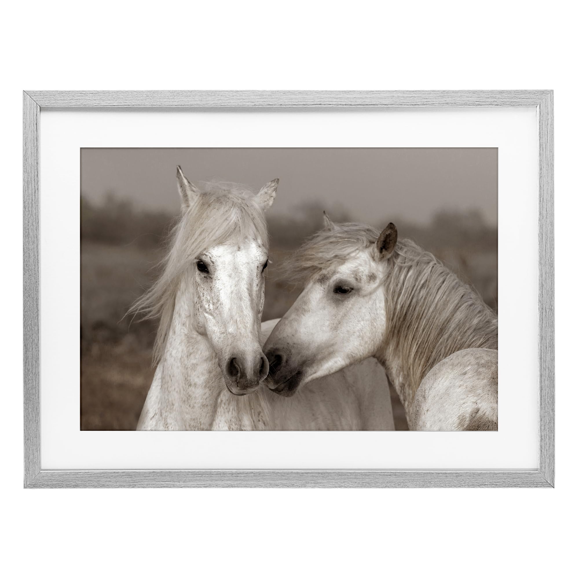Stupell Industries Farmhouse Gray (Textured) 'Gentle Companionship Horses'| Framed Print Under Glass