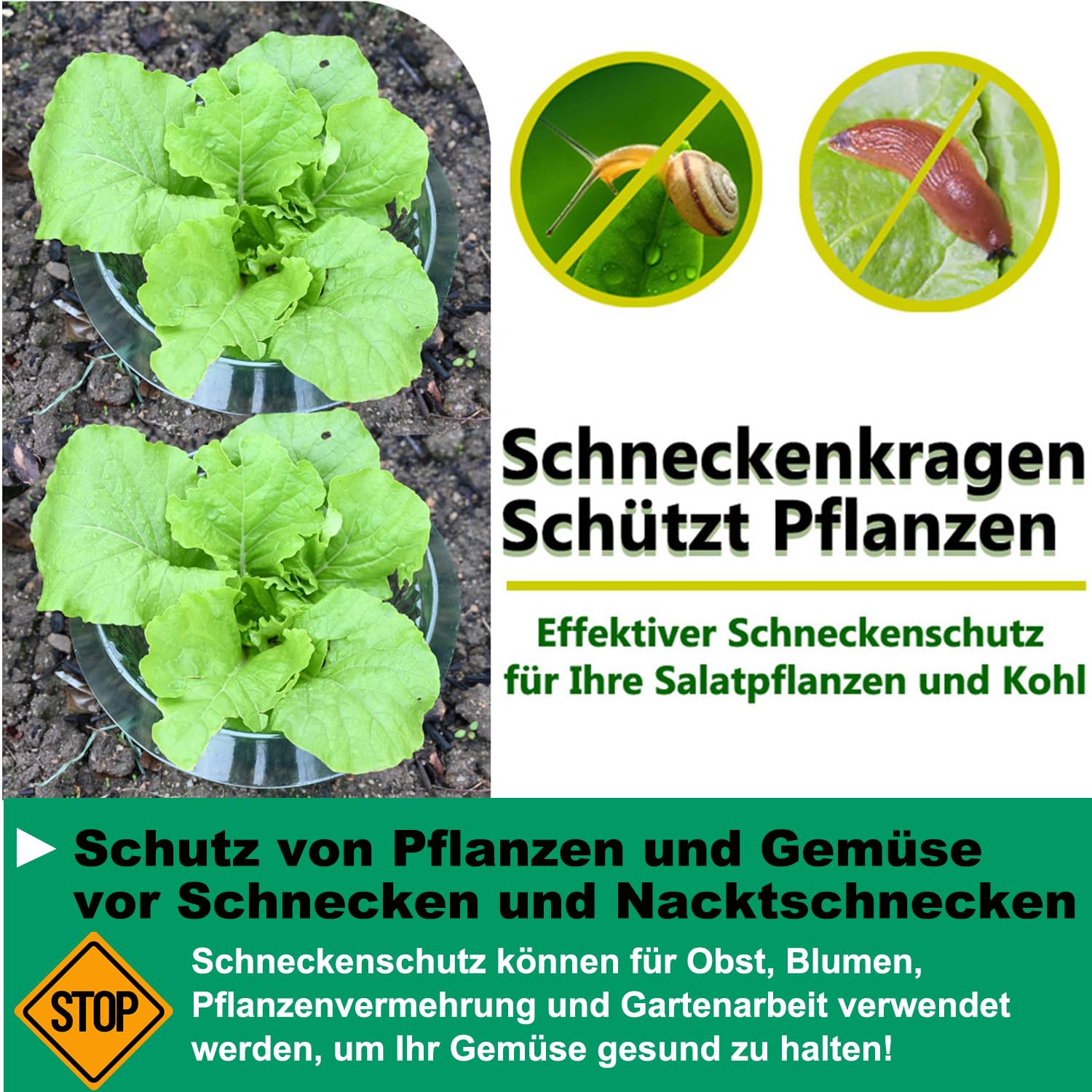 30 Stücke Verstärkt Schneckenkragen | Salatringe zur Abwehr von Schnecken, Effektiver Schneckenschutz für Ihre Salatpflanzen und Kohl