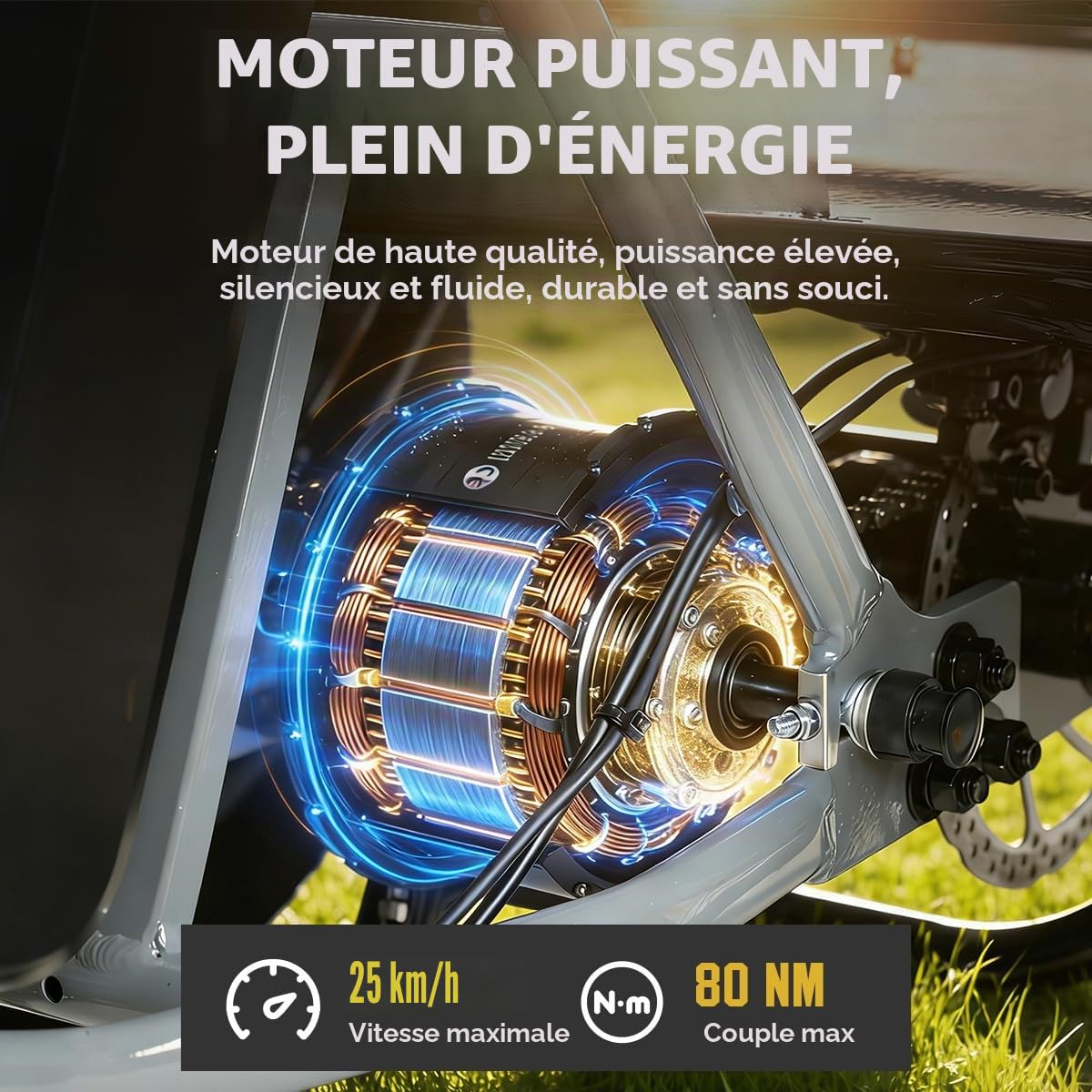 Tricycle électrique Antgooat AG1 Pro - Vélo électrique pliable pour adulte - Batterie 48 V 20 Ah - Autonomie jusqu'à 150 km - Porte-bagages avant et arrière