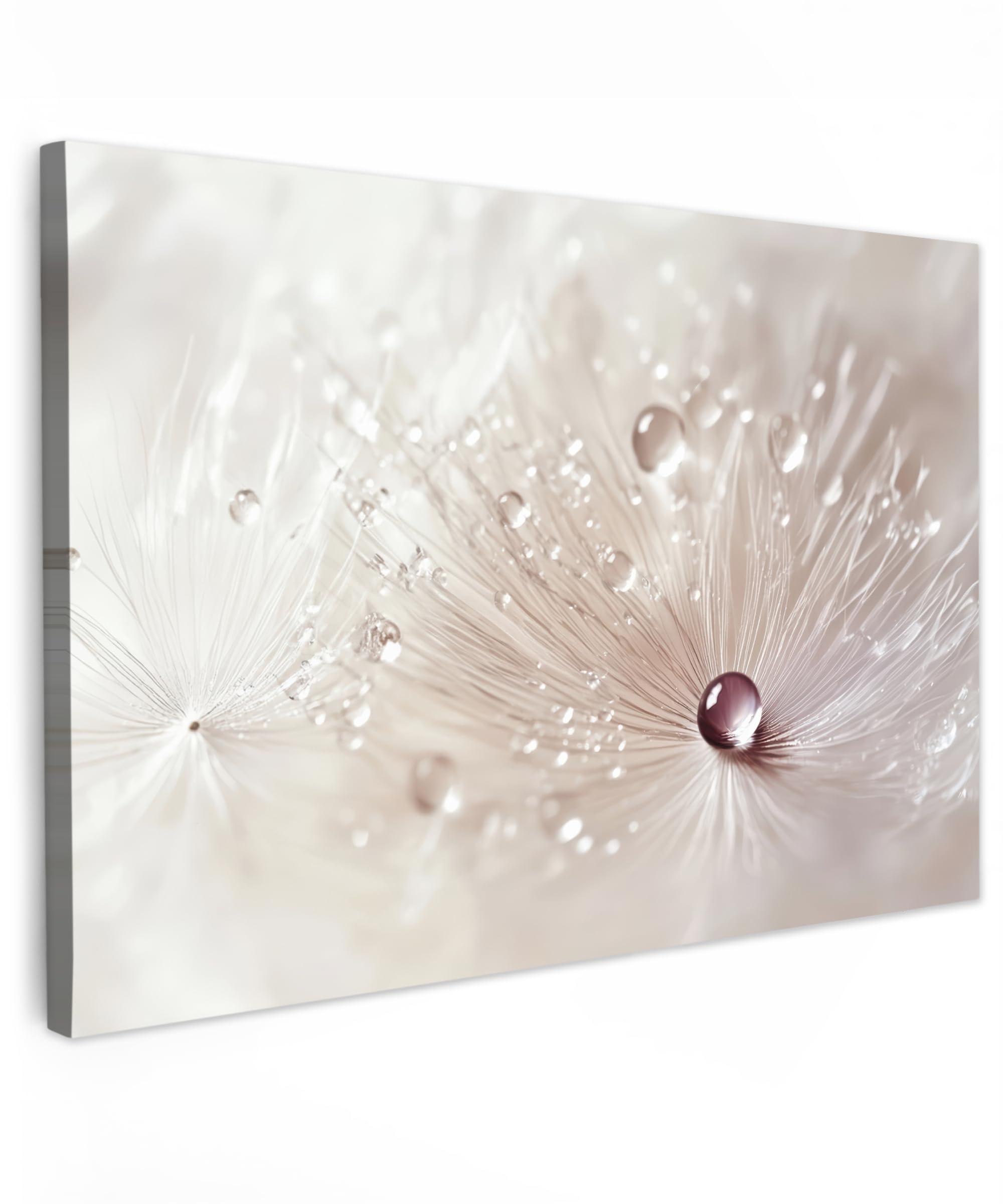 MuchoWow© Cuadros Decoracion Salon Modernos 120x80 cm para Dormitorios Cuadro Decorativos de Salon Lienzos Decorativo Pictures for Living Room Decorarivos Flor - Abstracto - Blanco - Naturaleza