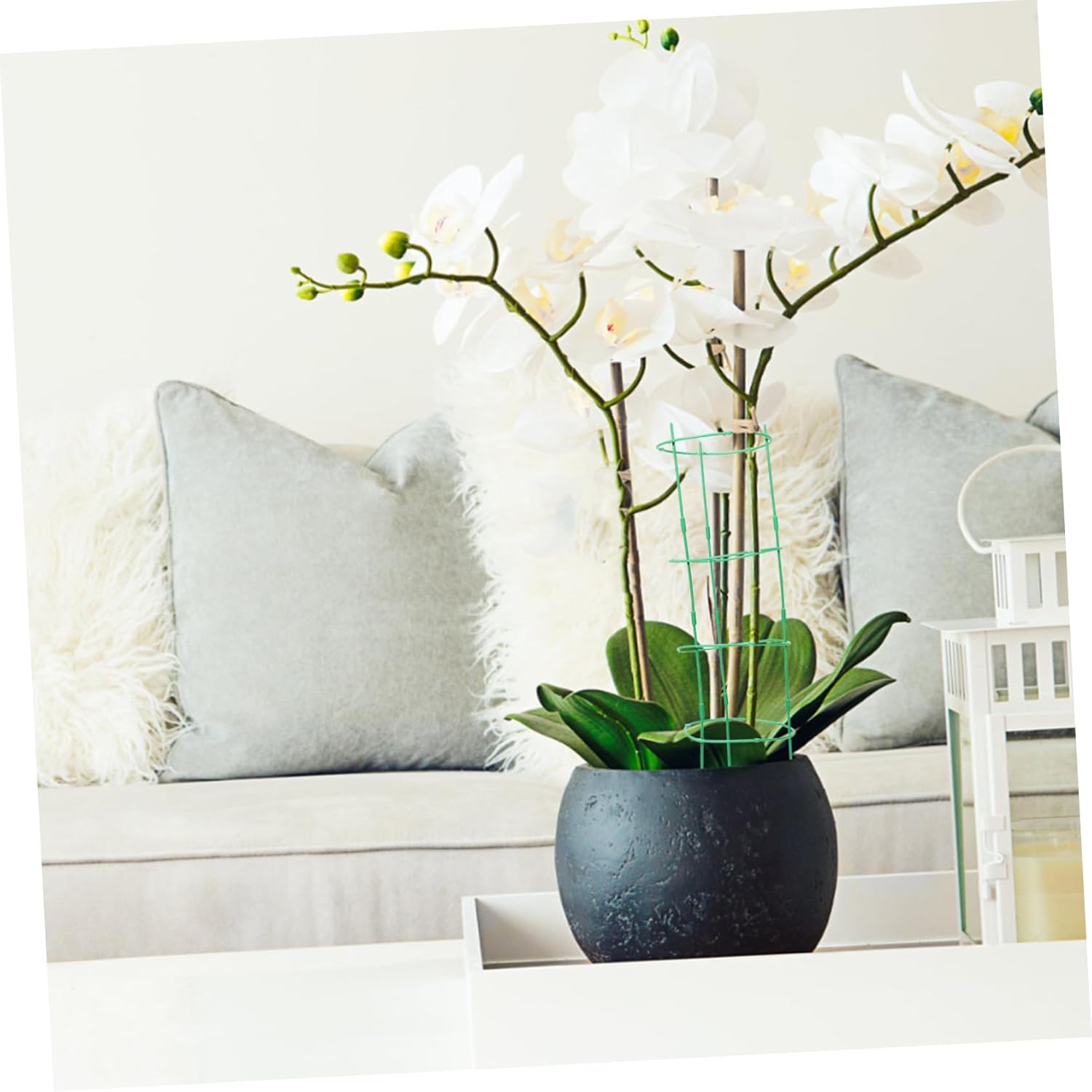 6sets Garden Stake Trellis Plant Support Rods for Climbing Vines Potted Plant Cages Peony Support Cage Easy Assembly Suitable for Indoor Outdoor