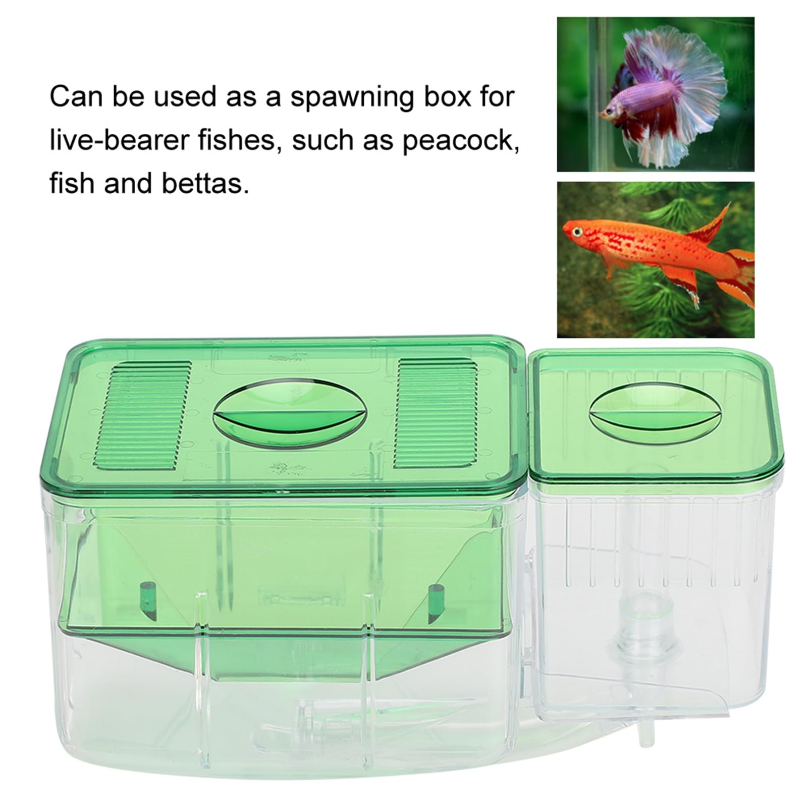 ZJchao Incubadora de Acuario, Caja de Cría para Peces Pequeños con Aislamiento de Doble Capa, Evita Ataques de Peces Adultos para Peces Heridos, Camarones, Peces Payaso, Criadores de
