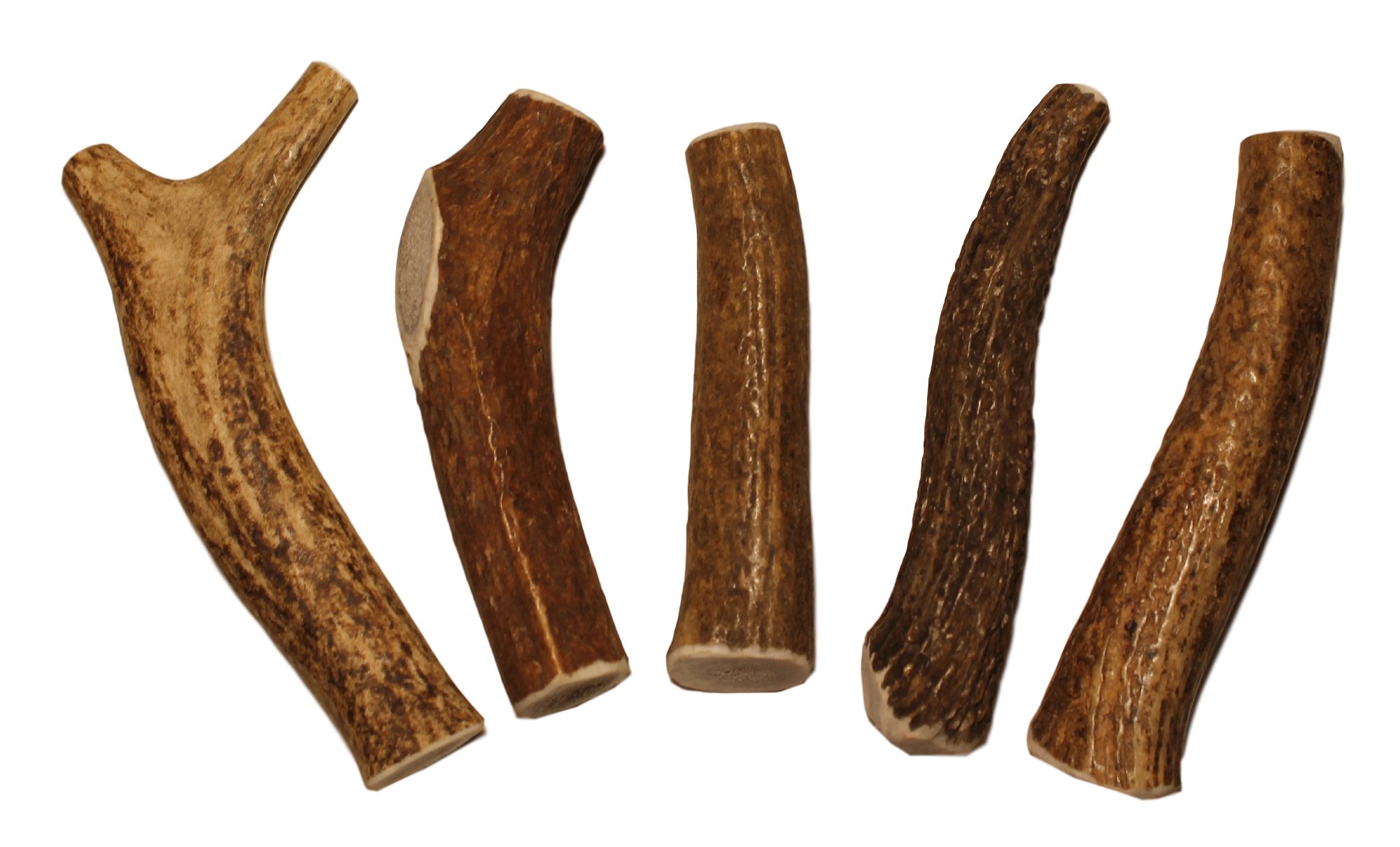 Elkhorn Premium Chews - Small Whole 5 Pack (for 10-30 lb Dogs and Puppies) Premium Grade Elk Antlers for Dogs (5 Pieces) Sourced in The USA