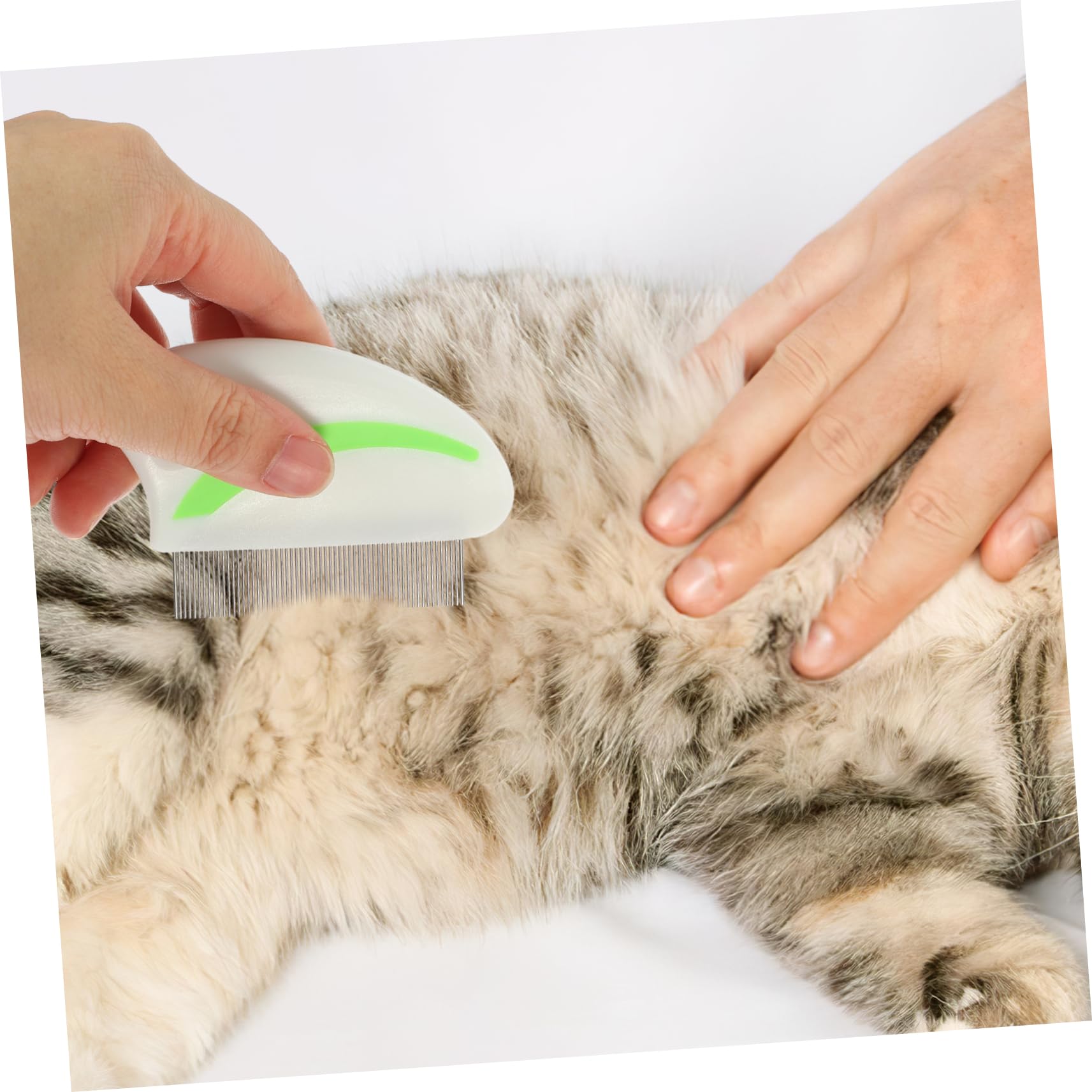 minkissy 12stücke Edelstahl Flohkamm Für Hunde Katzen Effektive Reinigungsbürste Zur Entfernung Von Schmutz Ergonomischer Griff Rot Grün Leicht Tragbar