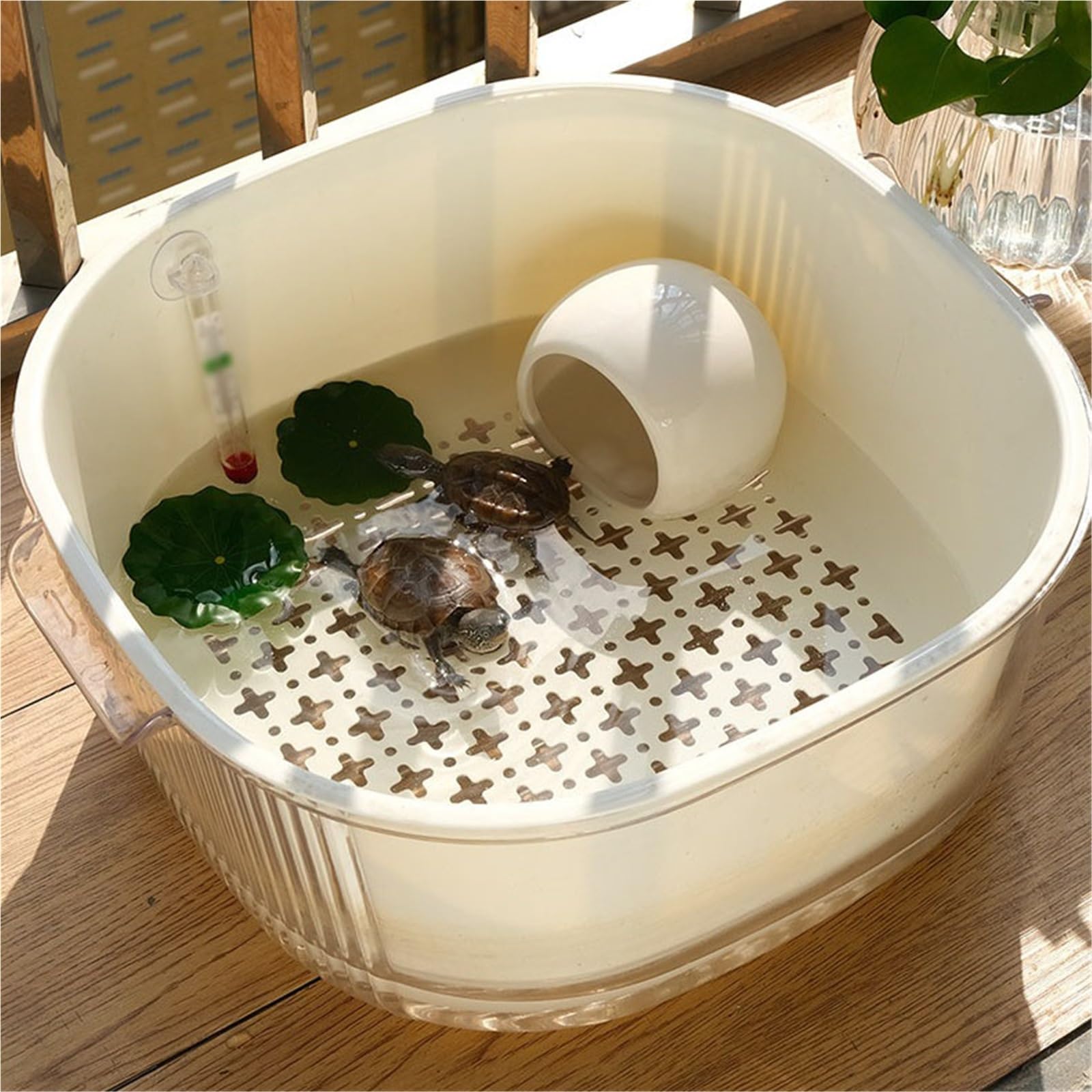Siedlisko terrarium Zbiornik do hodowli żółwi domowych Dwuwarstwowy zbiornik kształtowania krajobrazu na biurku Terrarium akwariowe(XL)