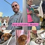 Porte-chiens pour petits chiens & Chats jusqu'à 15 lbs, sac de transport pour animaux de compagnie sans mains, Plus Taille L Convient à 47-53 en buste, Bracelet rembourré, Poignée de sécurité, Caramel