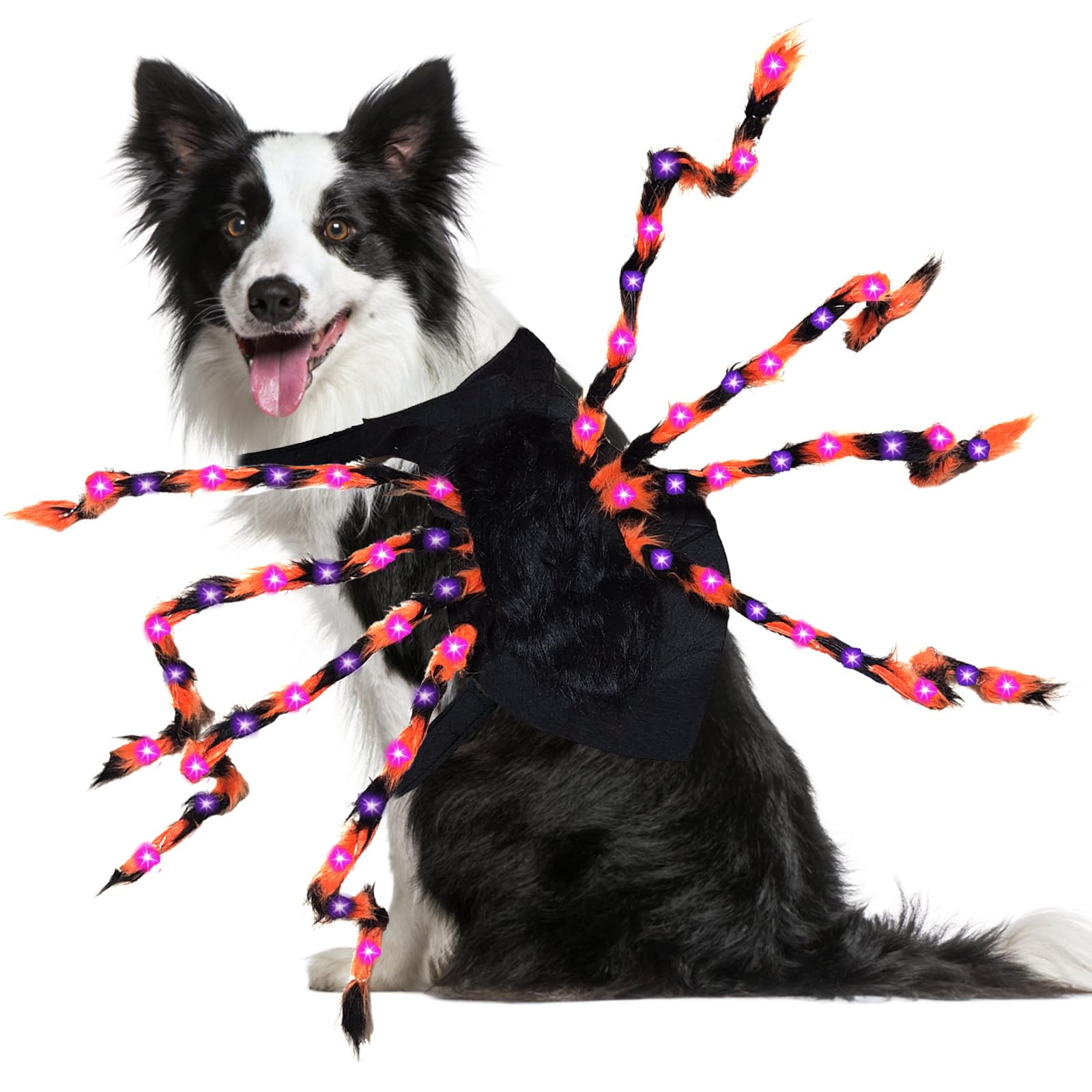 Déguisement chien araignée DEL pour soirée déguisée et récolte de bonbons nocturne