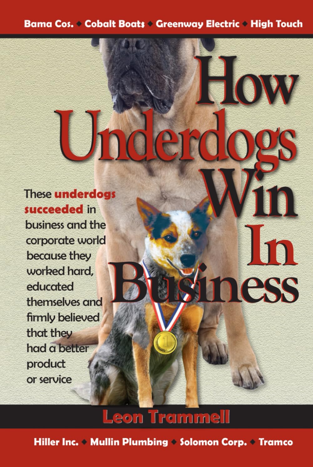 How Underdogs Win in Business