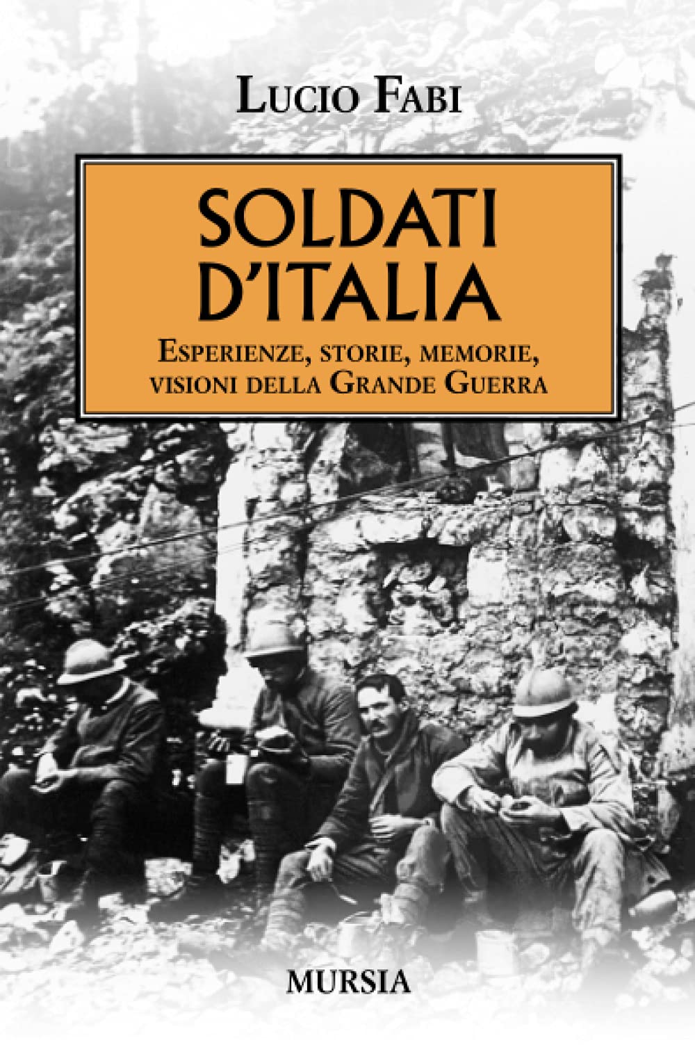 Soldati d’Italia: Esperienze, storie, memorie, visioni della Grande Guerra (1914-1918. Prima guerra mondiale) (Italian Edition)